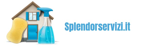 cropped-logo-splendorservizi.png